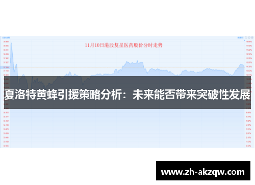 夏洛特黄蜂引援策略分析：未来能否带来突破性发展